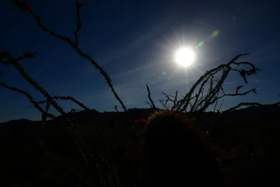 DSC_1831 (Large).JPG